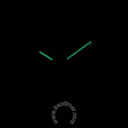 قیمت و خرید ساعت مچی مردانه کاسیو (CASIO) جنرال مدل MTP-VD03D-3A1UDF کلاسیک | اورجینال و اصلی