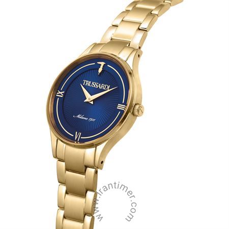 قیمت و خرید ساعت مچی زنانه تروساردی(TRUSSARDI) مدل R2453149504 کلاسیک | اورجینال و اصلی