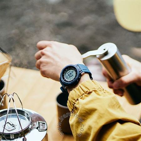قیمت و خرید ساعت مچی مردانه کاسیو (CASIO) پروترک مدل PRG-30-2DR اسپرت | اورجینال و اصلی