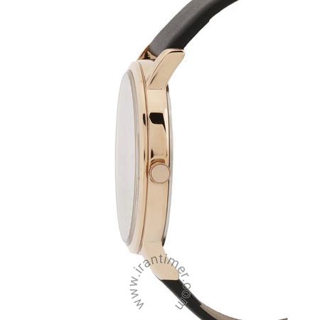 قیمت و خرید ساعت مچی زنانه دنیل کلین(Daniel Klein) مدل DK.1.12631-1 کلاسیک | اورجینال و اصلی
