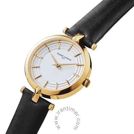 قیمت و خرید ساعت مچی زنانه پیر کاردین(PIERRE CARDIN) مدل CF.0701.LB کلاسیک | اورجینال و اصلی