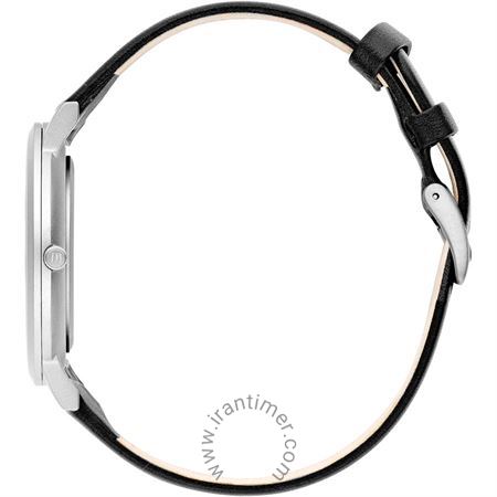 قیمت و خرید ساعت مچی مردانه دنیش دیزاین(Danish Design) مدل IQ13Q1107 کلاسیک | اورجینال و اصلی