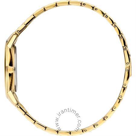 قیمت و خرید ساعت مچی زنانه دنیش دیزاین(Danish Design) مدل IV91Q1251 کلاسیک | اورجینال و اصلی
