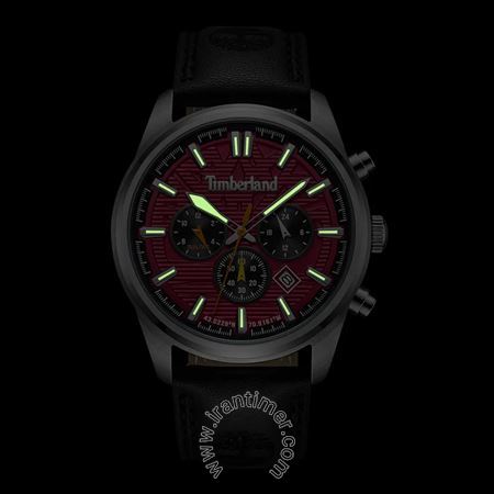 قیمت و خرید ساعت مچی مردانه تیمبرلند(TIMBERLAND) مدل TDWGF0009606 کلاسیک | اورجینال و اصلی