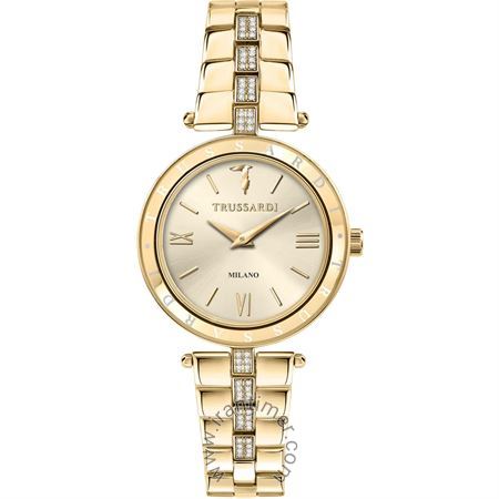 قیمت و خرید ساعت مچی زنانه تروساردی(TRUSSARDI) مدل R2453145508 کلاسیک فشن | اورجینال و اصلی
