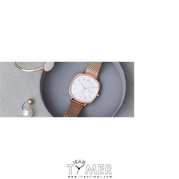 قیمت و خرید ساعت مچی زنانه اسکاگن(SKAGEN) مدل SKW2401 کلاسیک | اورجینال و اصلی