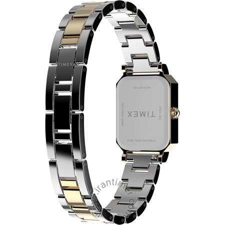 قیمت و خرید ساعت مچی زنانه تایمکس(TIMEX) مدل TW2Y01300 کلاسیک | اورجینال و اصلی