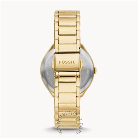 قیمت و خرید ساعت مچی زنانه فسیل(FOSSIL) مدل BQ3740 کلاسیک | اورجینال و اصلی