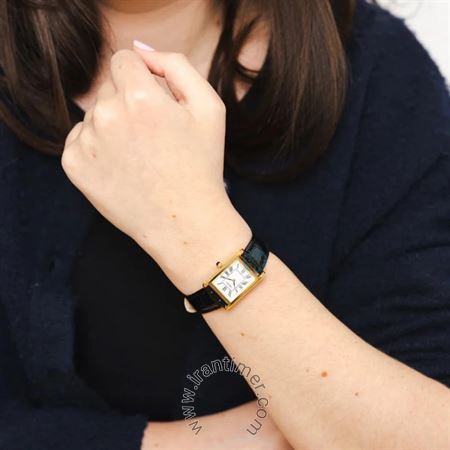 قیمت و خرید ساعت مچی زنانه سیکو(SEIKO) مدل SWR108P1 کلاسیک | اورجینال و اصلی