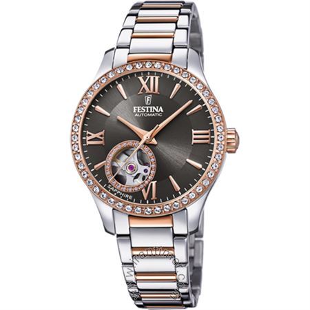 قیمت و خرید ساعت مچی زنانه فستینا(FESTINA) مدل F20487/2 کلاسیک فشن | اورجینال و اصلی