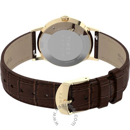 قیمت و خرید ساعت مچی زنانه تایمکس(TIMEX) مدل TW2Y37800 کلاسیک | اورجینال و اصلی
