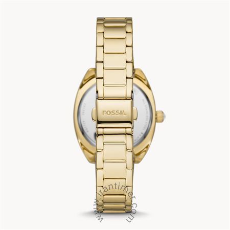 قیمت و خرید ساعت مچی زنانه فسیل(FOSSIL) مدل BQ3729 کلاسیک | اورجینال و اصلی