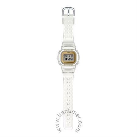 قیمت و خرید ساعت مچی زنانه کاسیو (CASIO) جی شاک مدل GMD-S5600SG-7 اسپرت | اورجینال و اصلی