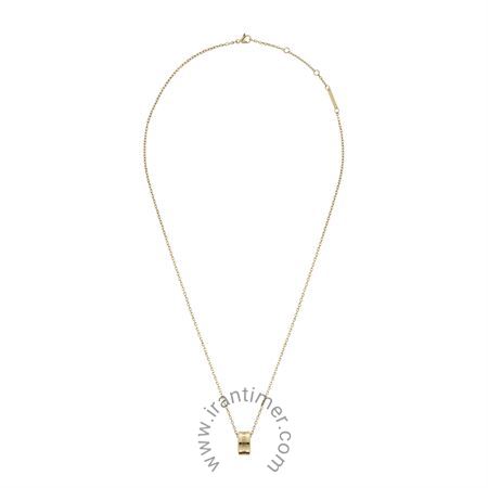 قیمت و خرید گردنبند زنانه دنیل ولینگتون(DANIEL WELLINGTON) مدل DW00400515 کلاسیک | اورجینال و اصلی