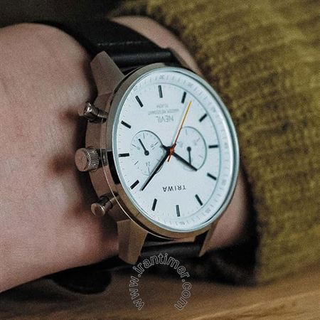 قیمت و خرید ساعت مچی مردانه زنانه تریوا(TRIWA) مدل NEST134-CL110112 کلاسیک | اورجینال و اصلی