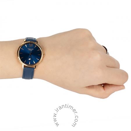 قیمت و خرید ساعت مچی زنانه کاسیو (CASIO) شین مدل SHE-4534PGL-2AUDF کلاسیک | اورجینال و اصلی