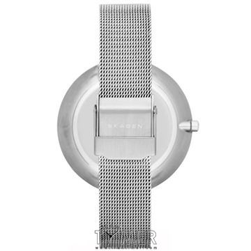 قیمت و خرید ساعت مچی زنانه اسکاگن(SKAGEN) مدل SKW2140 کلاسیک | اورجینال و اصلی