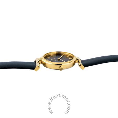 قیمت و خرید ساعت مچی زنانه پیر کاردین(PIERRE CARDIN) مدل CMD.3518 کلاسیک | اورجینال و اصلی