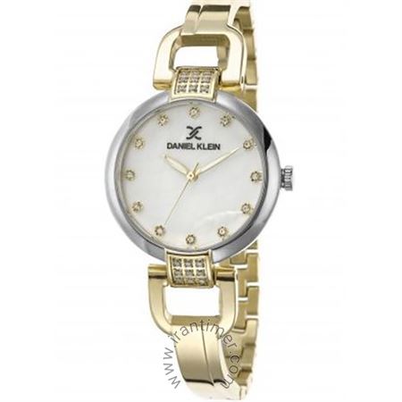 قیمت و خرید ساعت مچی زنانه دنیل کلین(Daniel Klein) مدل DK.1.12503-6 کلاسیک فشن | اورجینال و اصلی