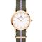 ساعت مچی زنانه دنیل ولینگتون(DANIEL WELLINGTON) مدل DW00100680