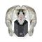 ساعت مچی مردانه زنانه فیلیپ پلین(Philipp Plein) مدل PWNAA0422