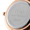 ساعت مچی زنانه دنیل ولینگتون(DANIEL WELLINGTON) مدل DW00100224