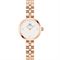 ساعت مچی زنانه دنیل ولینگتون(DANIEL WELLINGTON) مدل DW00100717