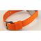 ساعت مچی دخترانه پسرانه کاسیو (CASIO) جنرال مدل LTR-19B-4B3VDF