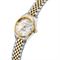 ساعت مچی زنانه فلیپ واچ(Philip Watch) مدل R8253597631