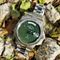 ساعت مچی مردانه وست اند واچ(WEST END WATCH) مدل 10W6828.10.MOP-GREEN