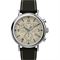 ساعت مچی مردانه تایمکس(TIMEX) مدل TW2V43800