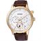 ساعت مچی مردانه سیتیزن(CITIZEN) مدل AP1052-00A