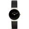 ساعت مچی زنانه اسکاگن(SKAGEN) مدل 358SSLB
