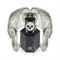 ساعت مچی مردانه فیلیپ پلین(Philipp Plein) مدل PWVAA0523
