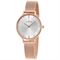 ساعت مچی زنانه اسکاگن(SKAGEN) مدل SKW2151