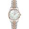 ساعت مچی زنانه فلیپ واچ(Philip Watch) مدل R8253208524
