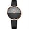 ساعت مچی زنانه پیر ریکو(Pierre Ricaud) مدل P22086.91R4Q