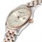 ساعت مچی مردانه فردریک کنستانت(FREDERIQUE CONSTANT) مدل FC-303C5B2B