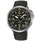 ساعت مچی مردانه سیکو(SEIKO) مدل SRPD33J1