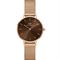 ساعت مچی زنانه دنیل ولینگتون(DANIEL WELLINGTON) مدل DW00100476