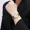 ساعت مچی زنانه فردریک کنستانت(FREDERIQUE CONSTANT) مدل FC-206RS1S5
