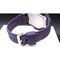 ساعت مچی مردانه کاسیو (CASIO) پروترک مدل PRG-270-6ADR