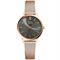 ساعت مچی زنانه پیر ریکو(Pierre Ricaud) مدل P22045.9167Q-SET