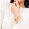 ساعت مچی زنانه دنیل ولینگتون(DANIEL WELLINGTON) مدل DW00100717
