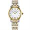 ساعت مچی زنانه فردریک کنستانت(FREDERIQUE CONSTANT) مدل FC-220MPWD1S23B