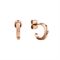  گوشواره زنانه دنیل ولینگتون(DANIEL WELLINGTON) مدل DW00400349 فشن (ست لباس) کلاسیک 