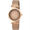 ساعت مچی زنانه پیر کاردین(PIERRE CARDIN) مدل CMD.3509