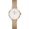 ساعت مچی زنانه دنیل ولینگتون(DANIEL WELLINGTON) مدل DW00100447