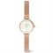 ساعت مچی زنانه دنیل ولینگتون(DANIEL WELLINGTON) مدل DW00100744