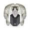 ساعت مچی زنانه فیلیپ پلین(Philipp Plein) مدل PWNAA1423